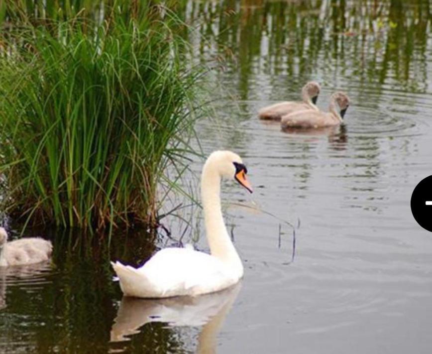 Lough Erne Fisherman's Holiday home *